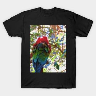 Scarlet Macaw V1 T-Shirt